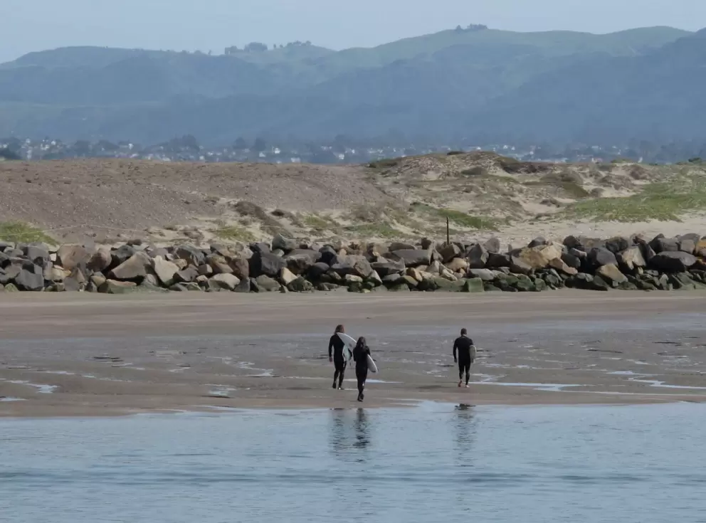 Surfers swim across the harbor, dodging boats and sea otters, to get to their favorite spot.