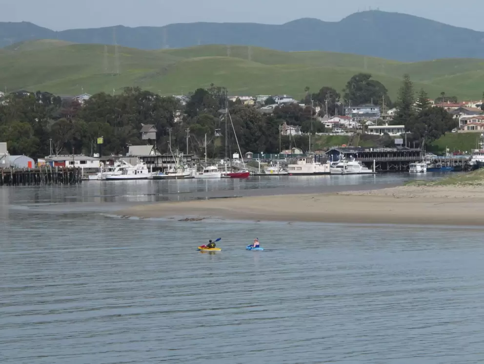 Kayakers in the harbor, and cute green hills.