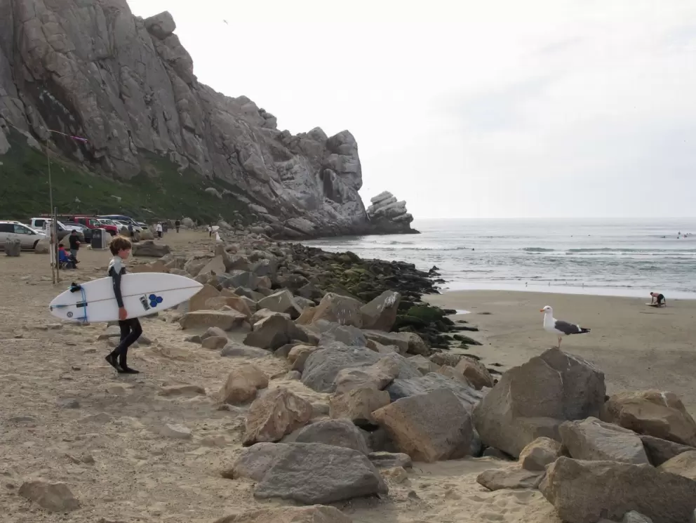 A young surfer.