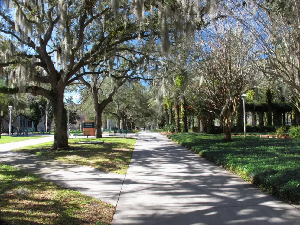 Shady walkway with Spanish moss.