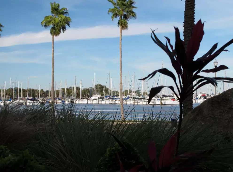 View of the harbor from the garden.