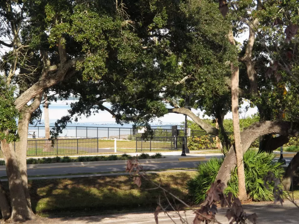 View of the water across the street.