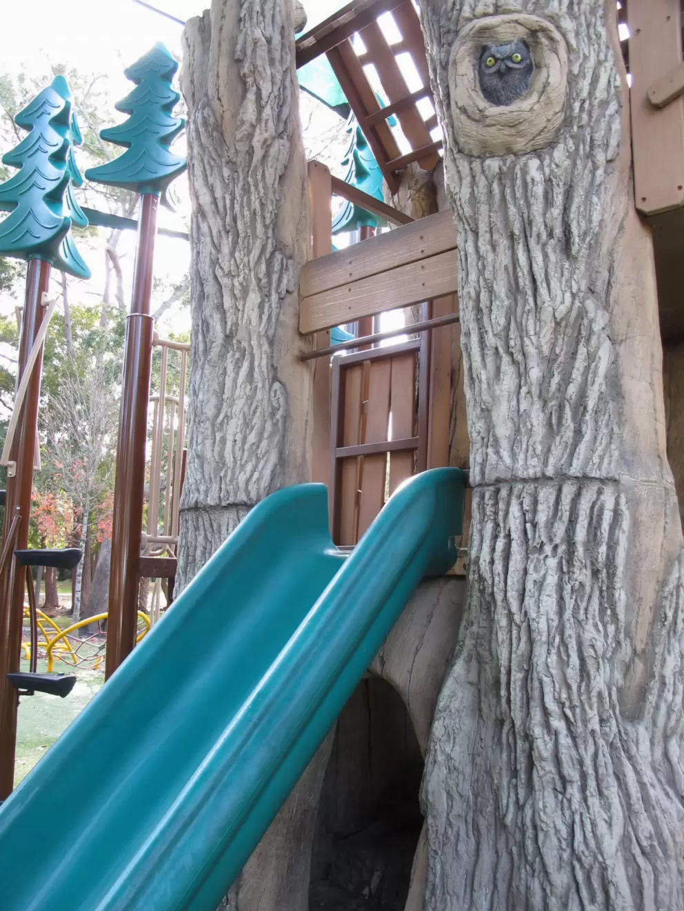 Owl in the "tree" above the slide.