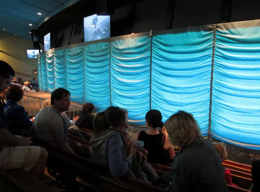 Filled with anticipation before the show...