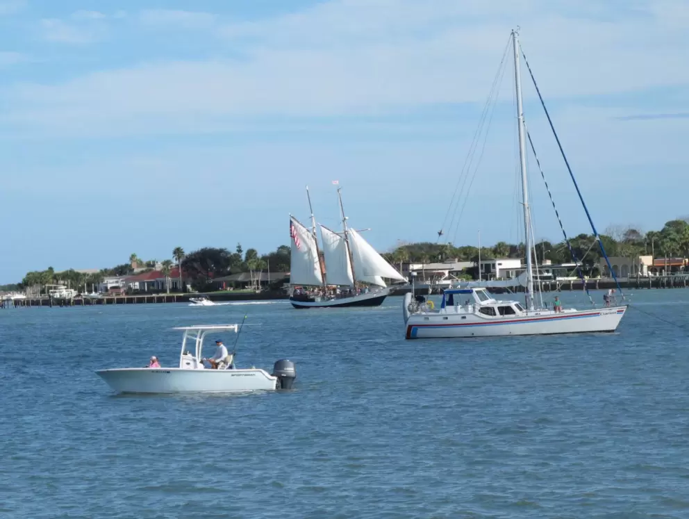 Boats galore!