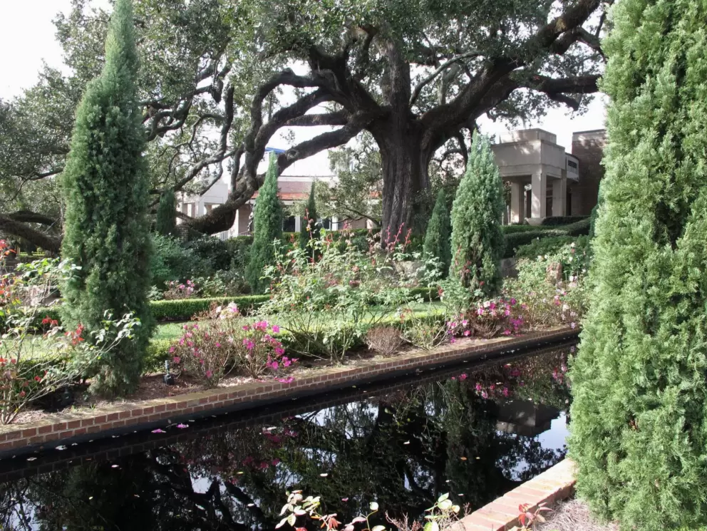 Reflecting pool in the garden.