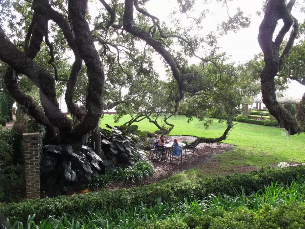 Children sit at a table under the amazing tree.