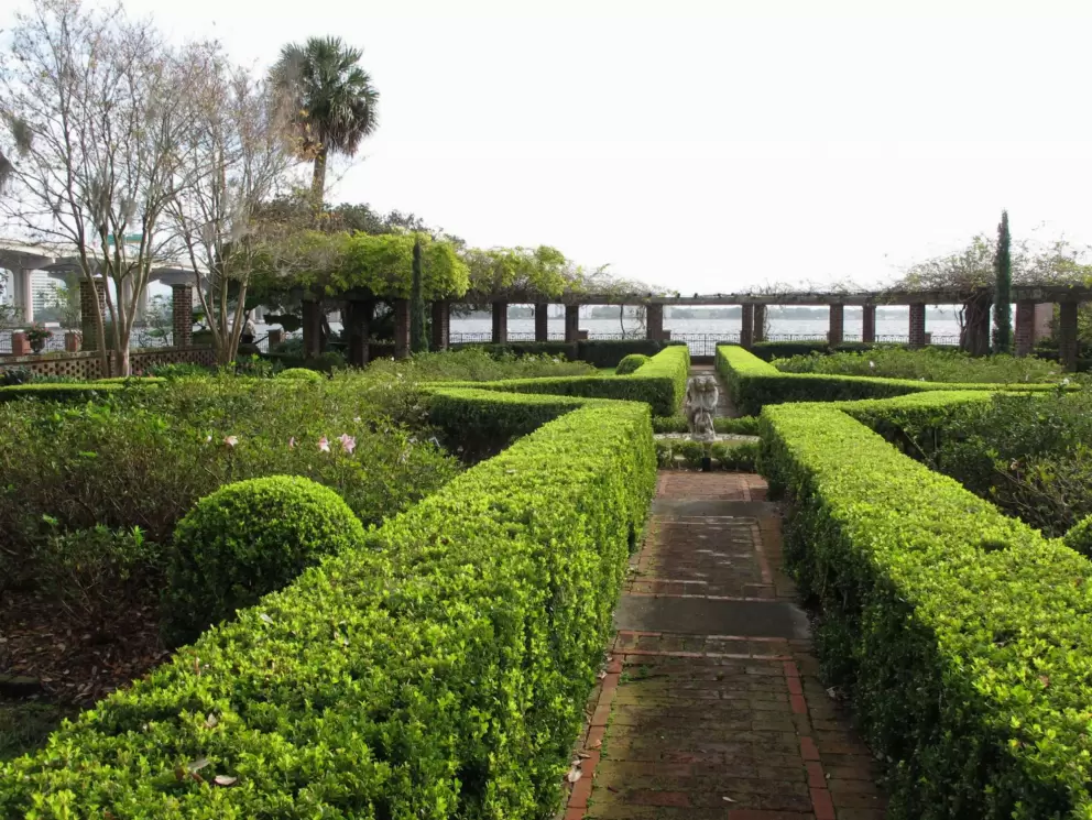 Hedges leading to the water.