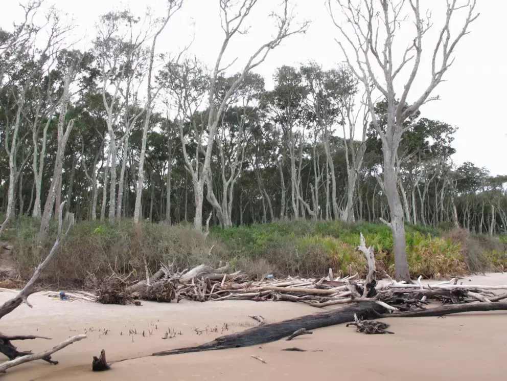 A rugged place.