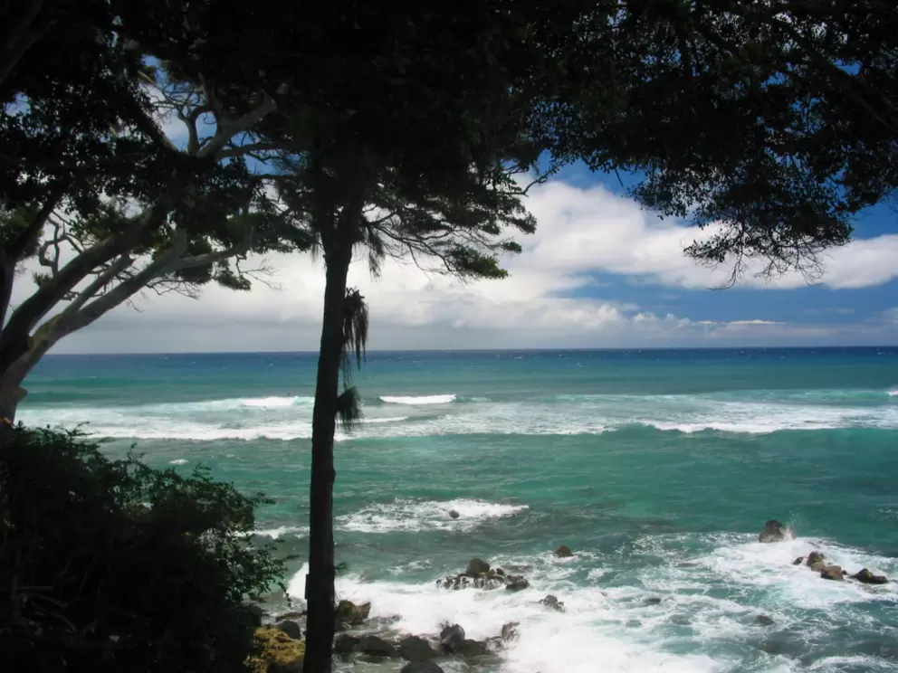 View from balcony of Doris Duke's home.
