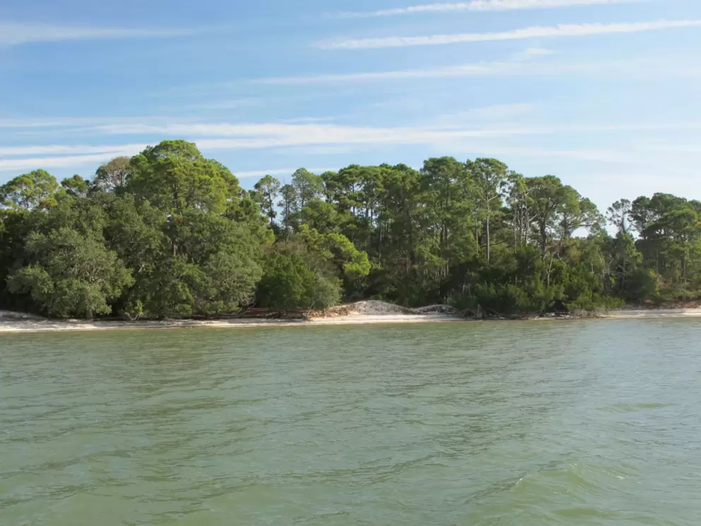 Nice colors of Cumberland Island.