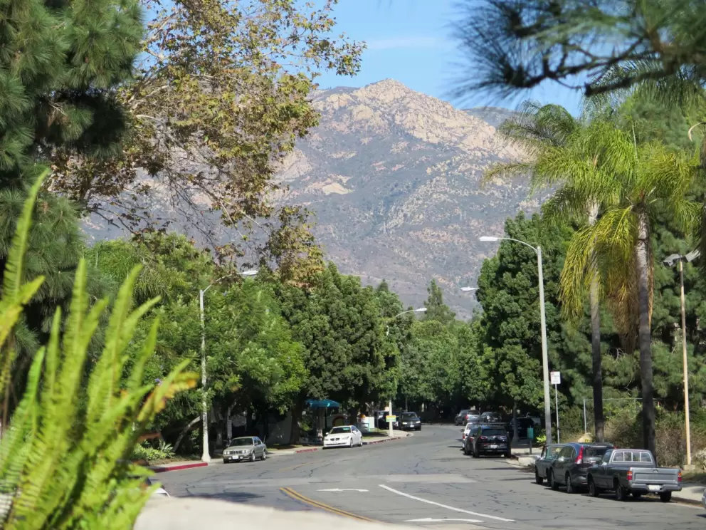 View from the patio of Natural Cafe, near La Cumbre Mall.