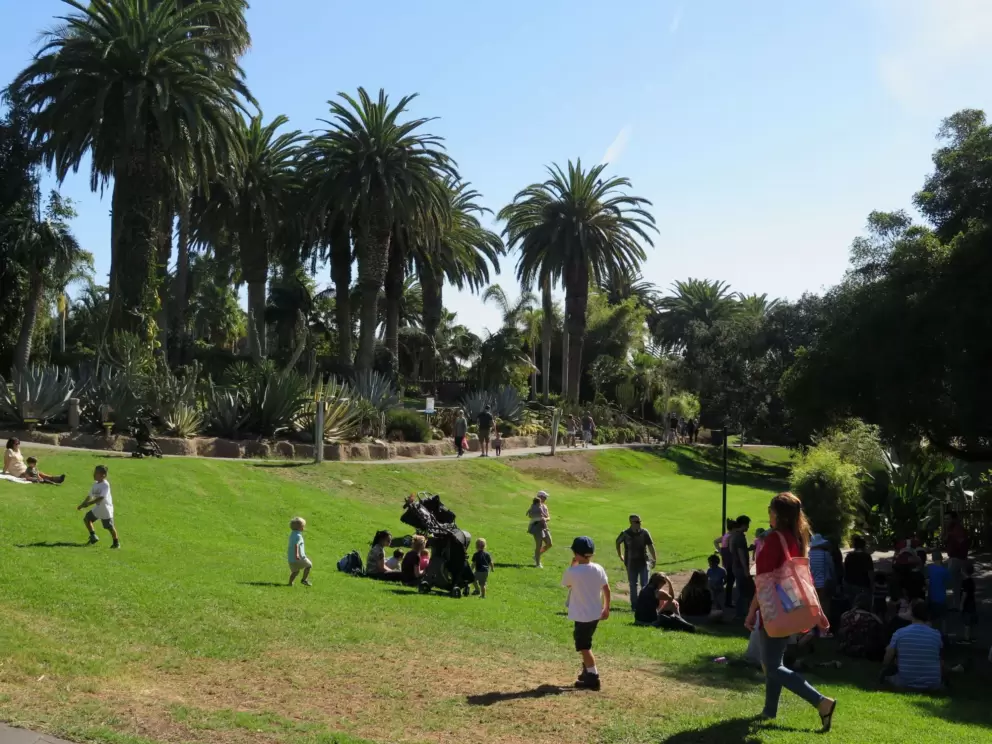 Sloped lawn where you can watch shows.