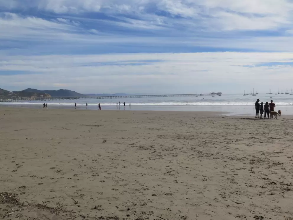 This beach is a favorite with dog owners.
