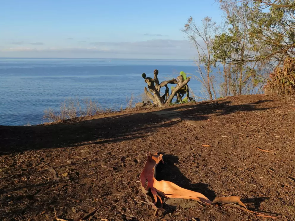 Clear day at Douglas Preserve.