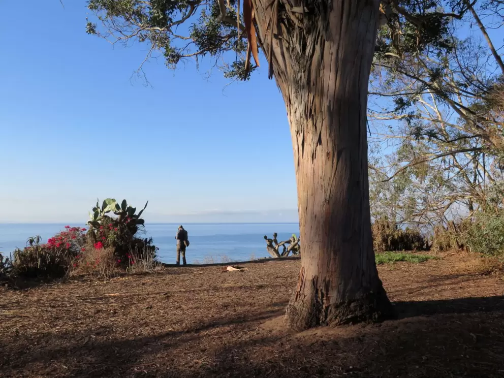 Ocean views galore!