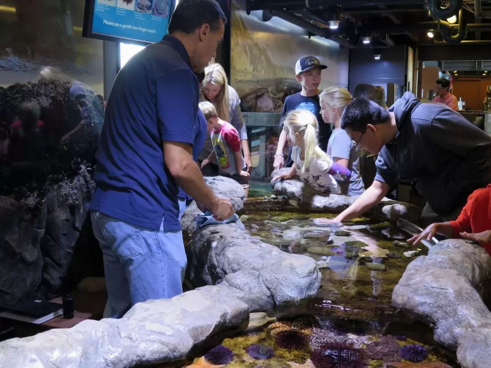 The touch tank. 