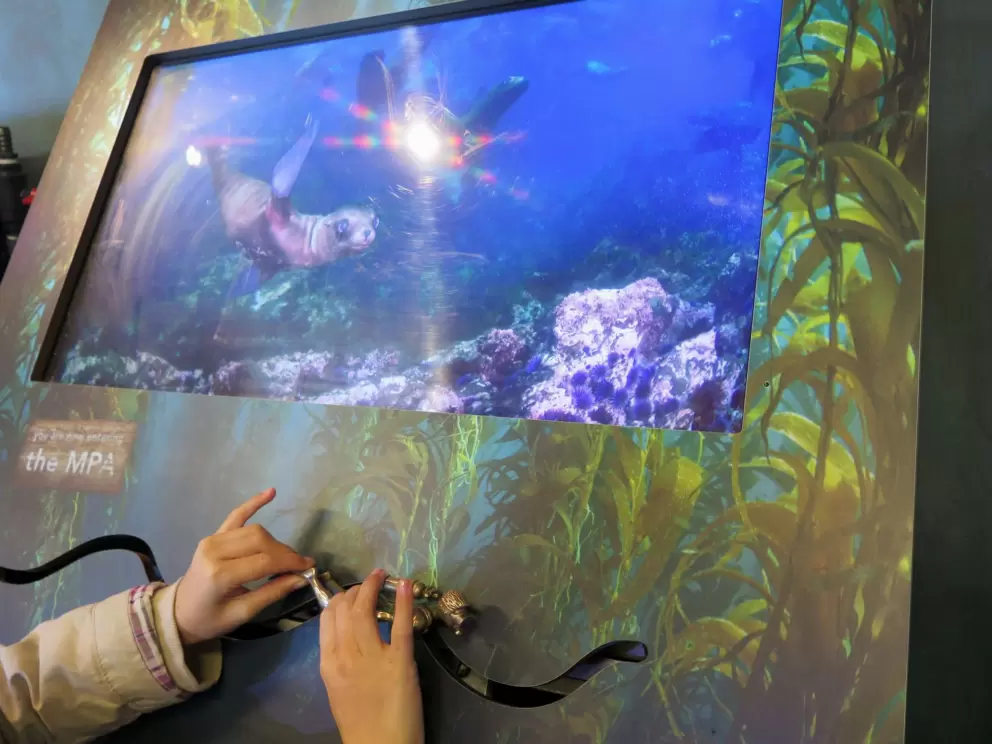 Kids can move the scuba diver and watch the screen change.