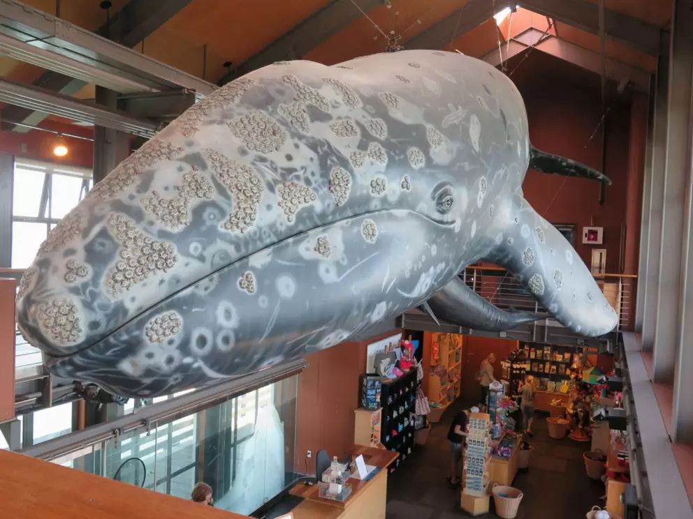 Whale sculpture.