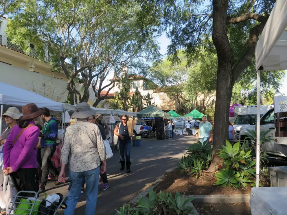 Shady walkway at the farmers market.