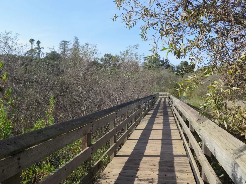 A boardwalk.