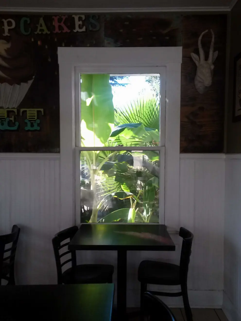 Nice window inside Crushcakes.