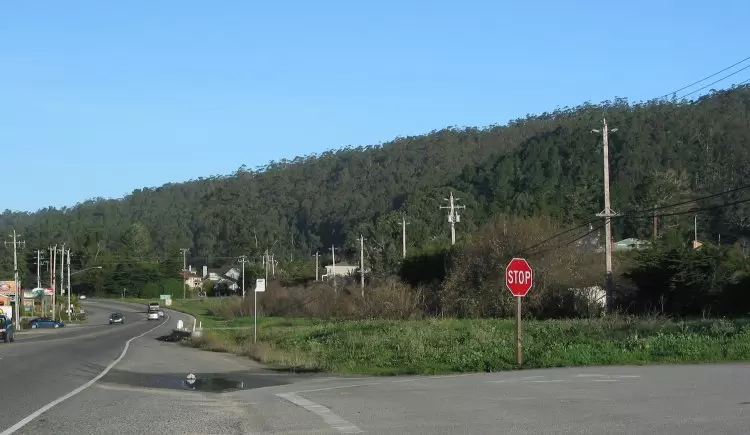 Deep blue-green forest, as seen from Highway 1, in Half Moon Bay.