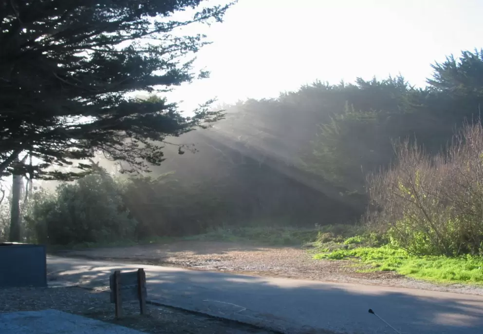 Light filtering through misty fog, at Fitzgerald Tide Pools. 