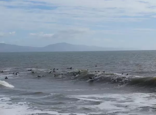 Surfers battle crowds in order to get a wave on a high surf day in January.