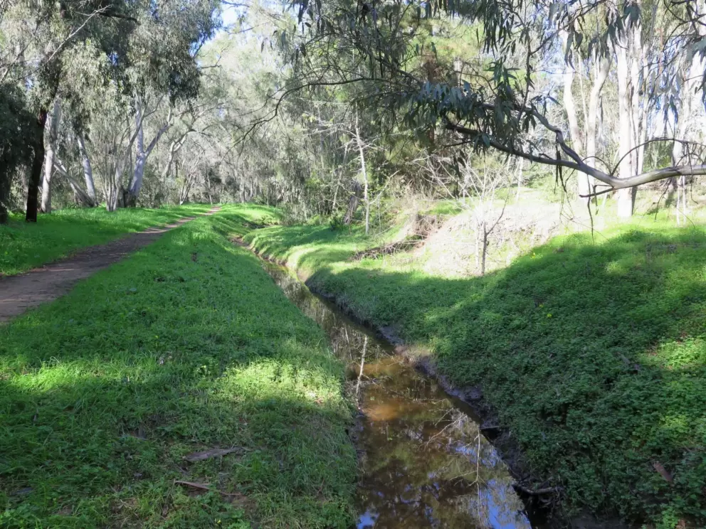 A pleasant stream.