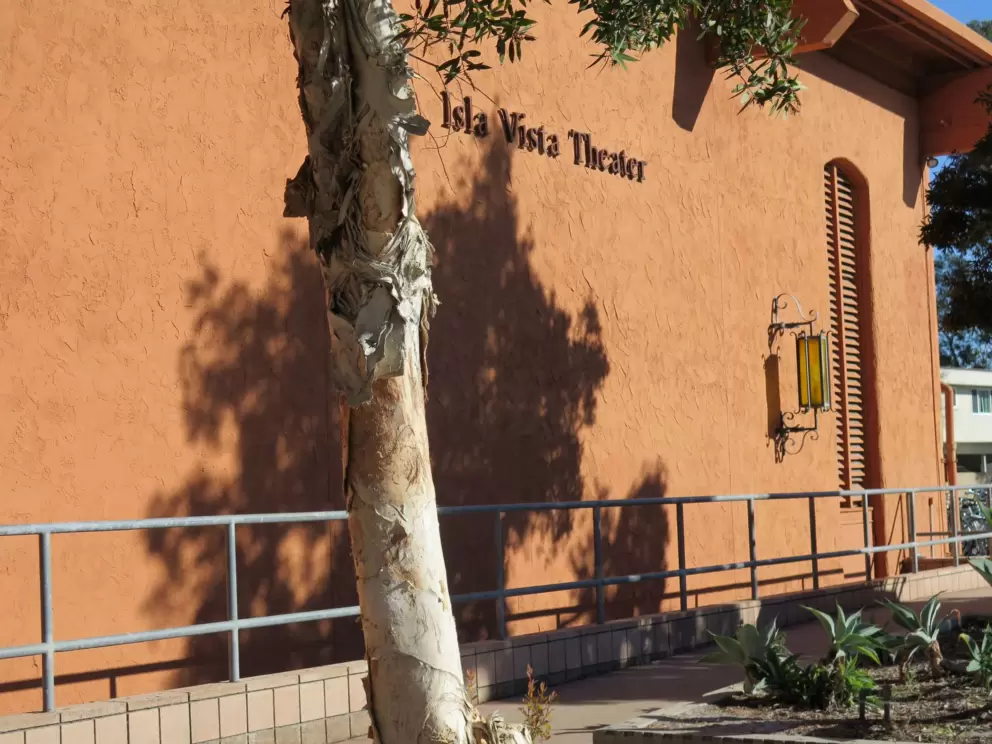 Isla Vista Theater.