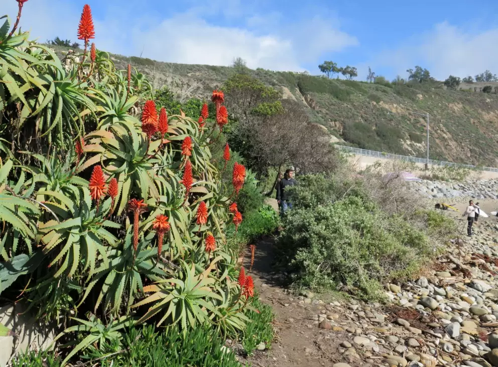 Vibrant colors on the path.