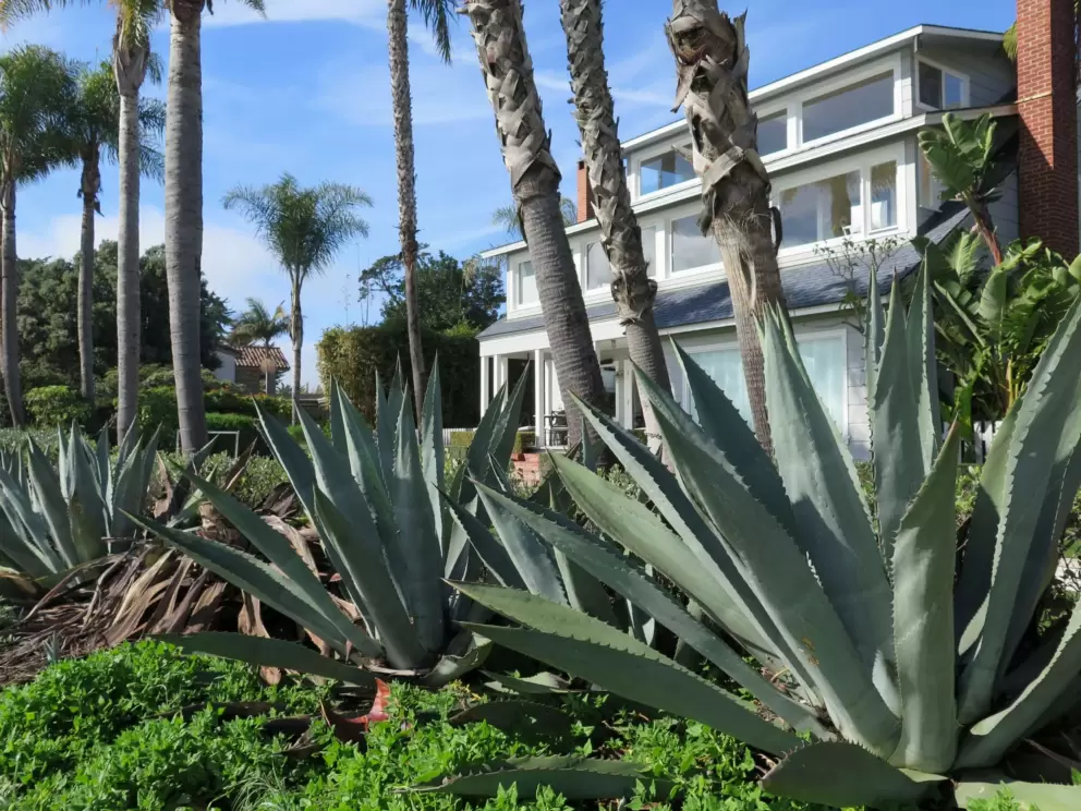 One of the houses that looks out on the surfbreak.