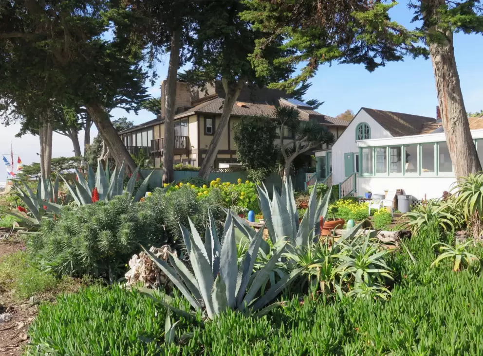 Pretty garden.