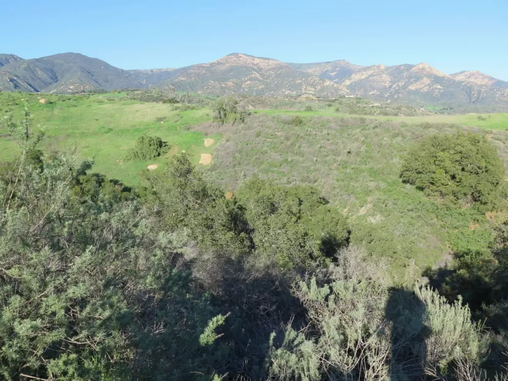 Looking across at the mountains from where the trail starts to go downhill.