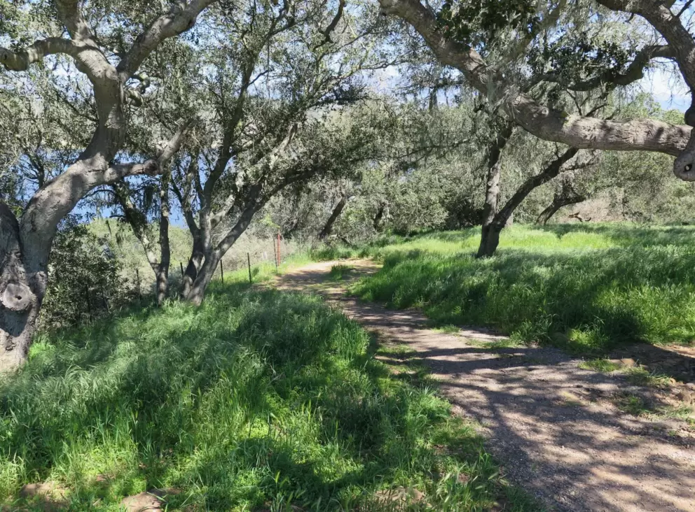 A trail near the Bradbury Dam lookout.