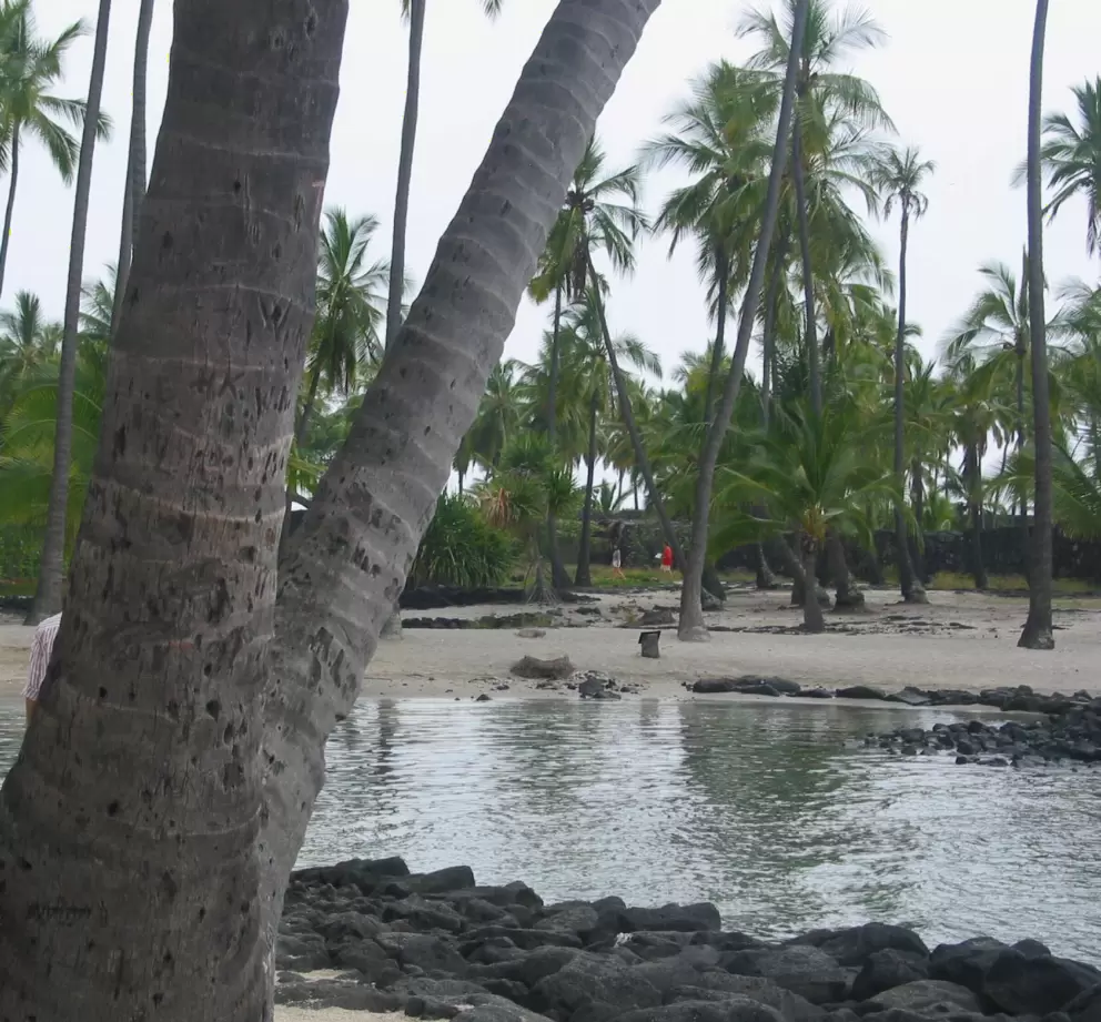 Peaceful lagoon at Place of Refuge.