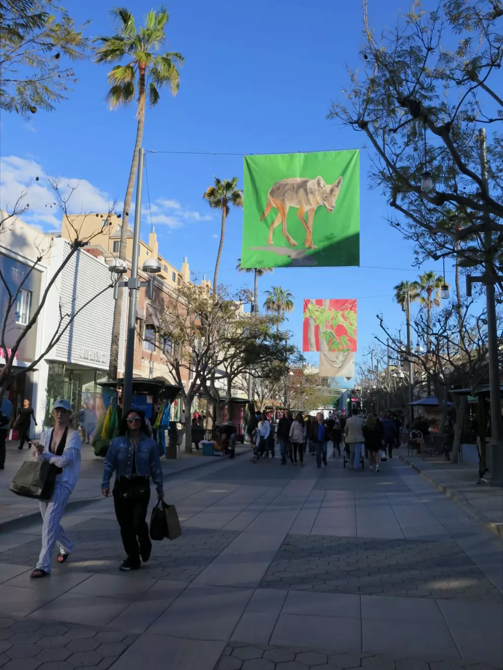 Flags on 3rd Street Promenade.