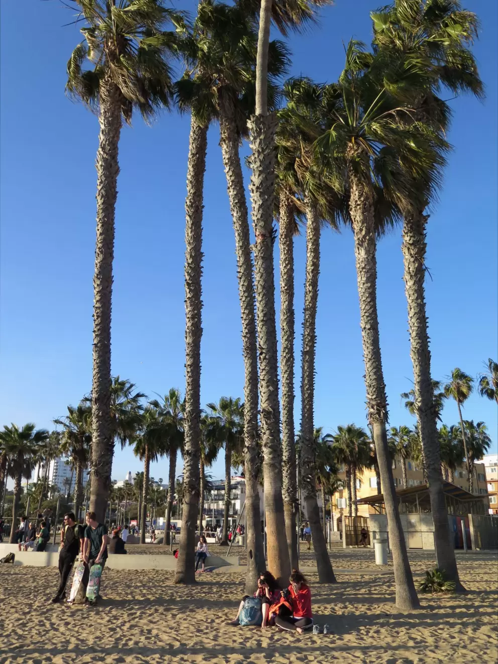 Two women sit under a cluster of palm trees.