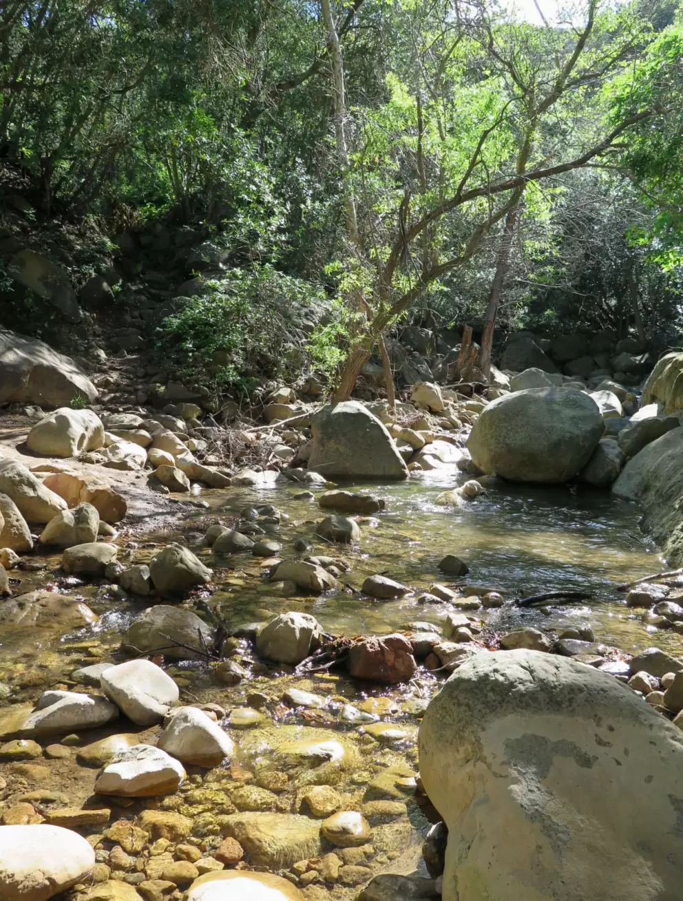 The stream.