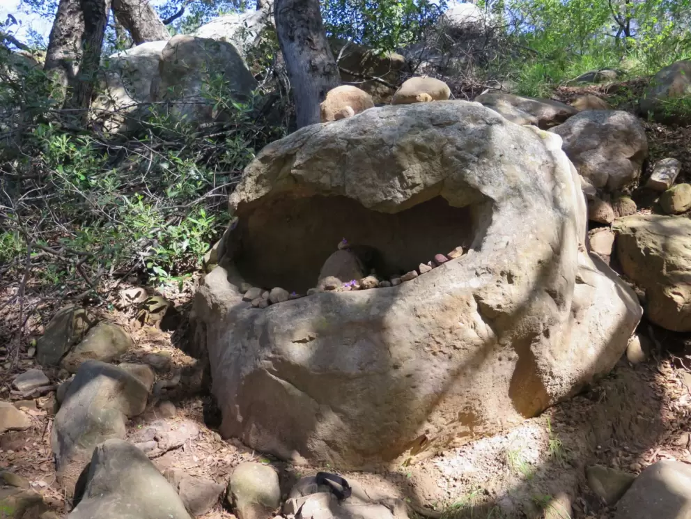 The Cookie Monster Rock!!