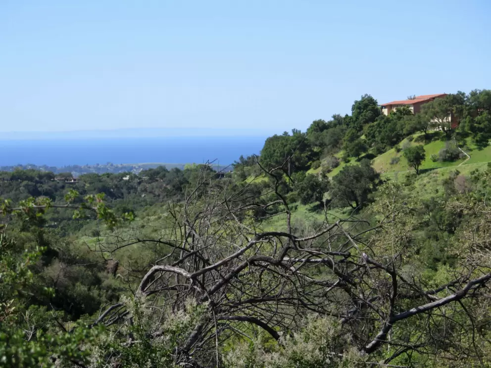Green hill and blue ocean.