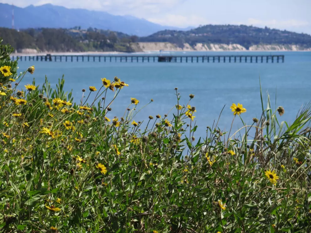 Looking toward Goleta Beach pier, on Lagoon Rd.