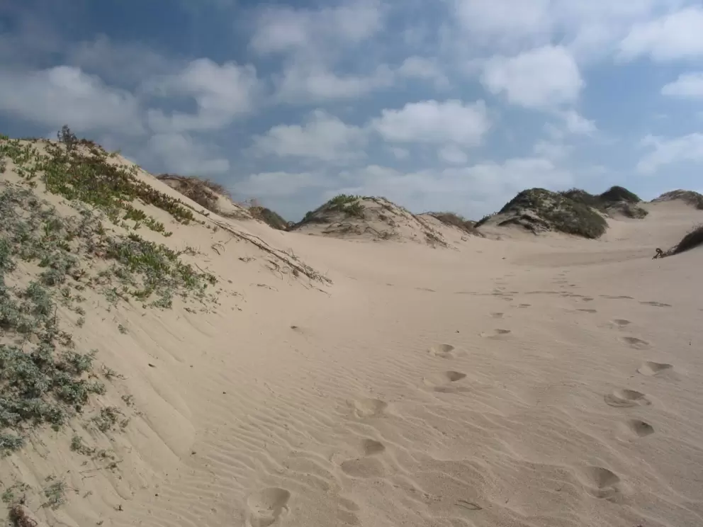 Footsteps in the dunes.