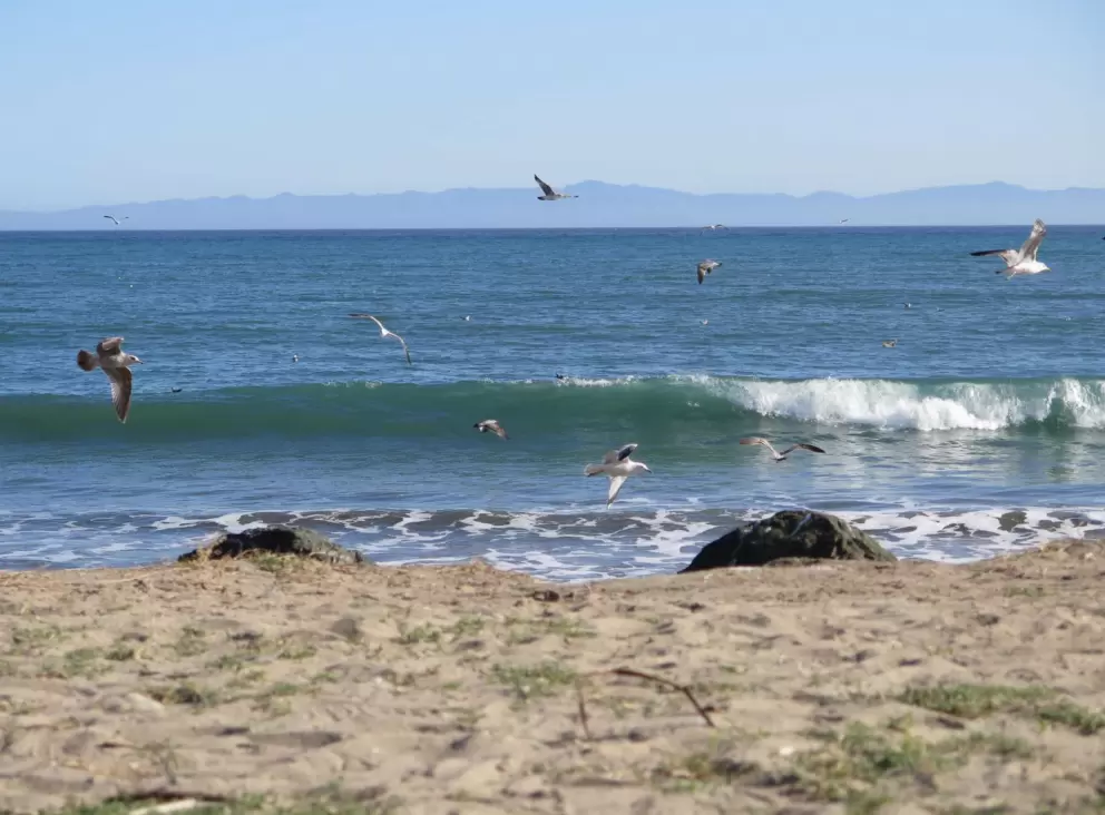 You can see the Channel Islands in the distance.