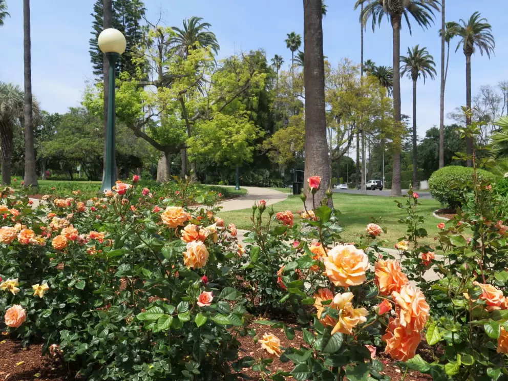 Will Rogers Memorial Park, Beverly Hills
