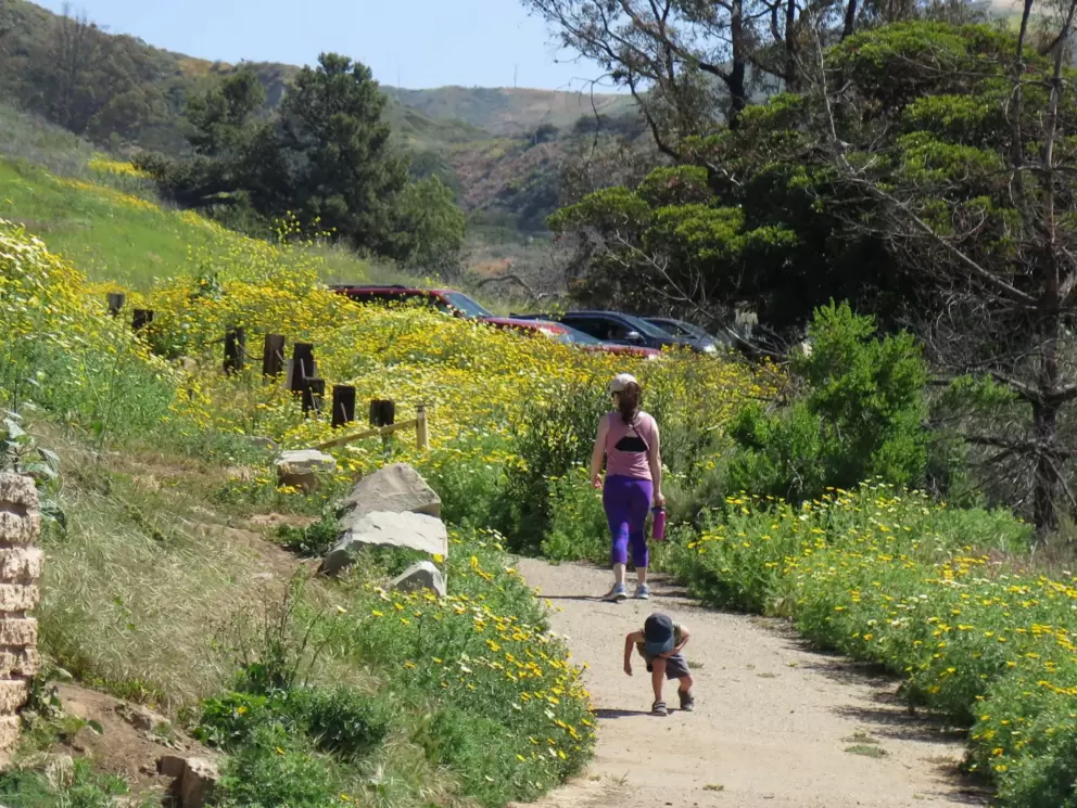 A mom and child walk the flower-lined path.