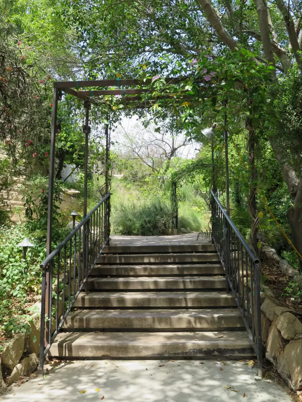 Shaded stairs.