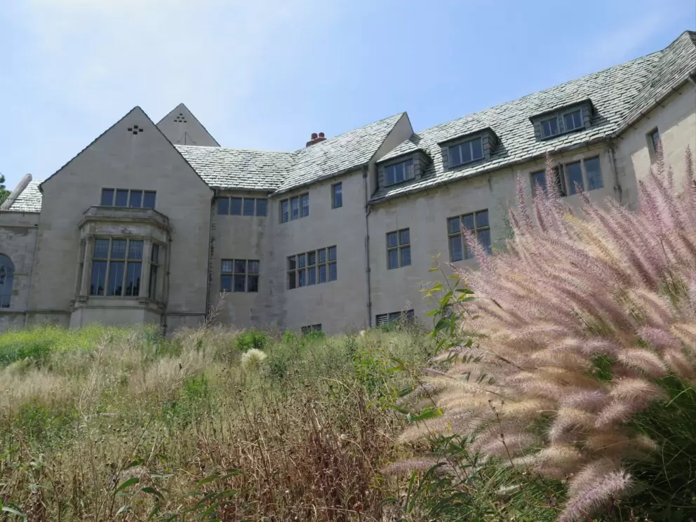 The front of the house is overgrown.