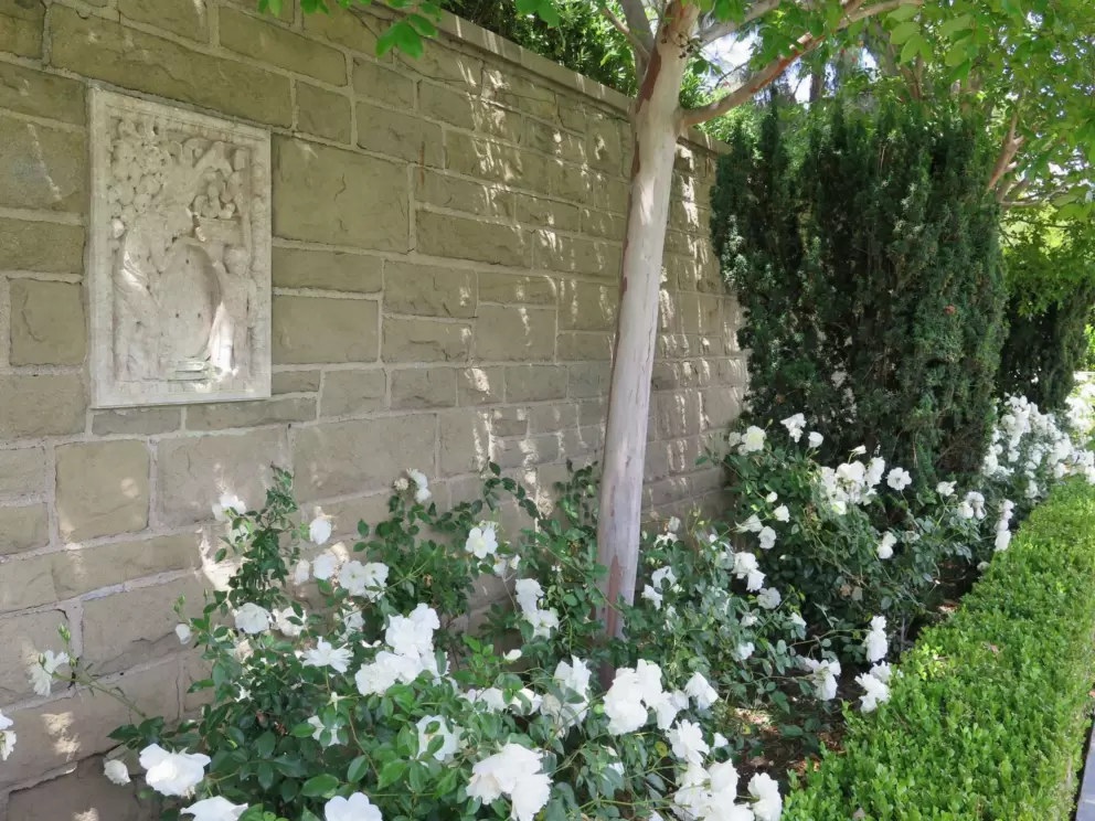 Roses and engravings in the wall.